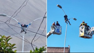 Rescatan a hombre que se puso a dormir sobre un poste en Iquique: Estaba a 8 metros de altura