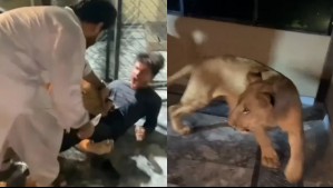 Hombre en Pakistán intenta sacarse una foto con un león y animal lo termina atacando: Video captó angustiante momento