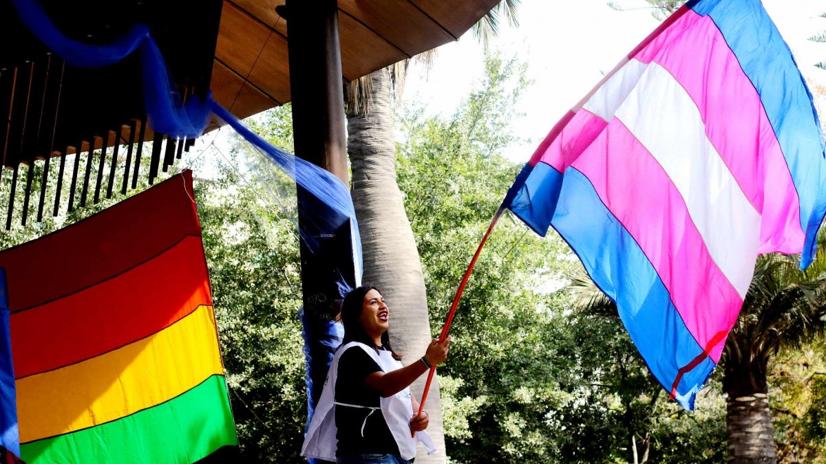 Alerta en la comunidad LGBT: RN respalda informe que restringe tratamientos hormonales en menores