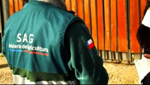 Recibe sueldo superior a $6.400.000: Cuestionan contratación y alto salario de periodista del SAG