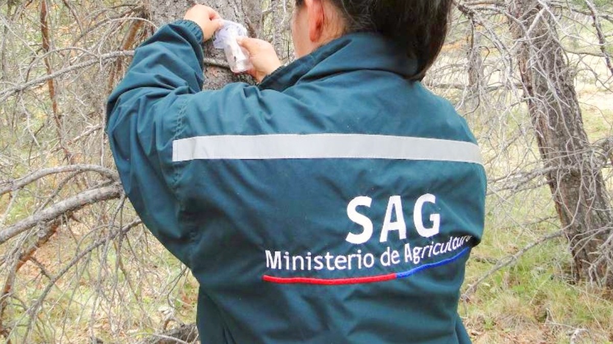 'Mi trayectoria está basada en méritos, trabajo y dedicación': Periodista del SAG se defiende por su millonario sueldo