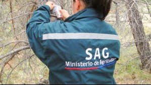 'Mi trayectoria está basada en méritos, trabajo y dedicación': Periodista del SAG se defiende por su millonario sueldo