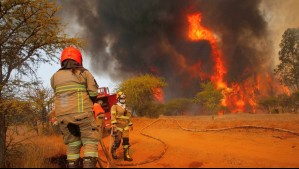 Declaran Alerta Amarilla para Melipilla por incendio forestal con alta velocidad de propagación