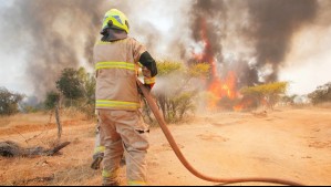 Llaman a evacuar sector de la comuna de Navidad por incendio forestal cercano a sectores poblados