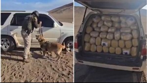 Evadieron fiscalización, huyeron por la pampa y terminaron detenidos por portar más de 500 kilos de drogas