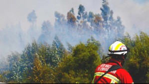 Cuerpo de Bomberos de Valparaíso confirma expulsión de voluntario detenido por megaincendio