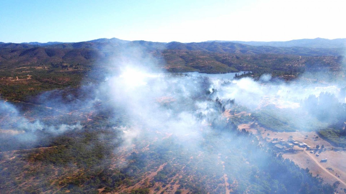 Detenidos por incendios habrían participado en al menos 20 siniestros desde 2021