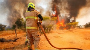 Alerta Roja por incendio forestal en la comuna de El Monte: El siniestro se desarrolla cercano a sectores poblados