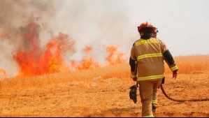 Solicitan evacuar sector de la comuna de Tiltil por incendio forestal: Se declaró Alerta Roja por cercanía a sectores habitados