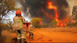 Declaran Alerta Roja para Tiltil por incendio forestal que amenaza a viviendas