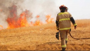 Alerta Roja por incendio forestal en Marchigüe: Advierten amenaza inminente a 12 viviendas