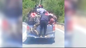 Video muestra a una decena de temporeros trasladándose en el pick-up de una camioneta en Teno