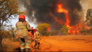 Llaman a evacuar sectores de la comuna de Las Cabras por incendio forestal cercano a zonas pobladas