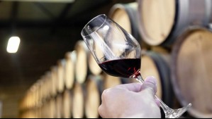 Viña boutique chilena es elegida como la mejor de Latinoamérica: Este es el nombre de la empresa triunfadora