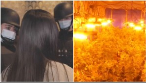 Bang de Fujian: Supuesta mafia china que vendía drogas en Chile recibe polémica sentencia