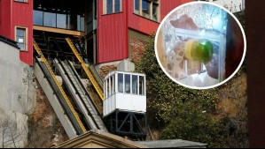 No quisieron pagar los $300 del pasaje y destruyeron histórico ascensor de Valparaíso: Estaban ebrios y quedaron detenidos