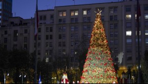 Árbol de Navidad gigante será instalado en Plaza de la Constitución: ¿Desde cuándo se podrá visitar?