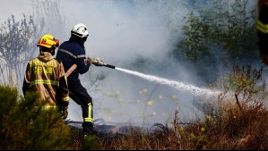 Solicitan evacuar un sector de la comuna de Santo Domingo por incendio forestal