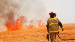 Alerta Roja por incendio forestal en Curacaví cercano a sectores habitados
