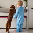 Dentro de las diferentes razas de perro que existen, hay algunas que son ideales para convivir con niños, por ello a continuación te contamos cuáles son las más recomendables para tus hijos.