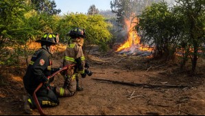 Senapred ordena evacuación de sectores habitados por incendio forestal en Las Cabras