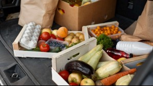 Distribuidora ligada a familia Paulmann está cerca de la quiebra: ¿Cuáles son los motivos de su crisis económica?