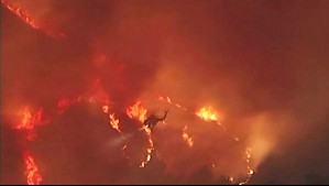 Desde actores a cantantes: Evacúan a famosos por feroz incendio en California
