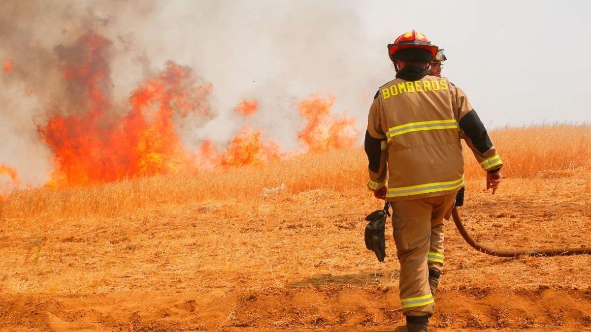 Declaran Alerta Roja para dos comunas de la zona centro sur por incendios forestales