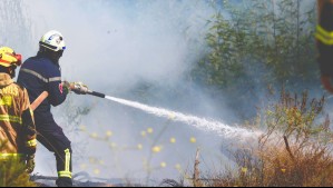 Declaran Alerta Roja en Lampa por incendio forestal