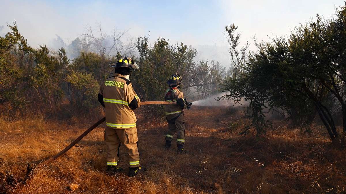 Senapred declara Alerta Roja en la comuna de Pumanque por incendio forestal