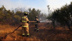 Senapred declara Alerta Roja en la comuna de Pumanque por incendio forestal