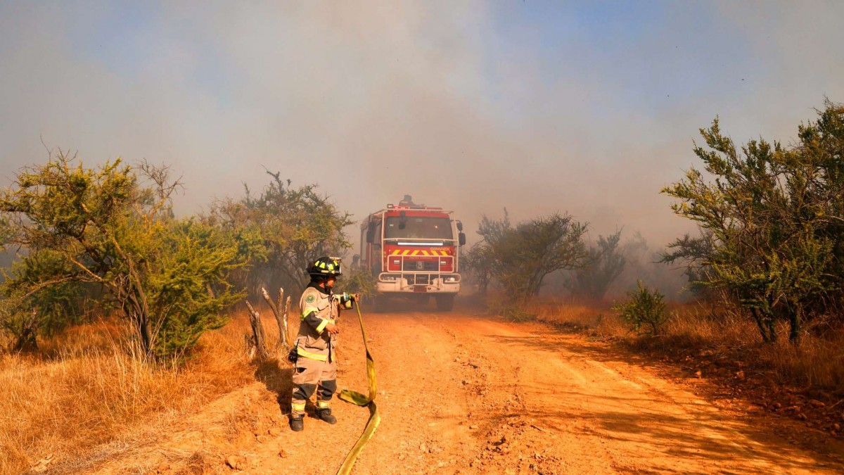 Alerta Roja por incendio forestal en Castro: Solicitan evacuar sector de la comuna