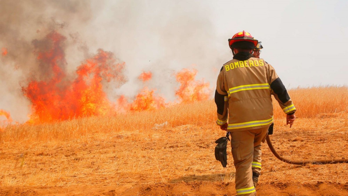 Senapred declara Alerta Roja por incendio forestal en Lonquimay