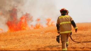 Senapred declara Alerta Roja por incendio forestal en Lonquimay