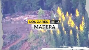 Los zares del robo de madera: $13 mil millones desvalijó banda que vendía a empresas forestales