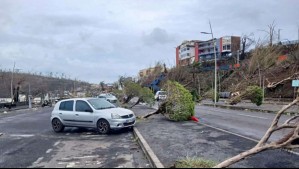 La peor tormenta en un siglo: Los videos del potente ciclón que azotó a isla francesa