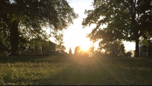 Se acerca el día más largo del año: ¿Cuándo será el solsticio de verano?