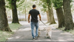 Tragedia en EEUU: Hombre muere tras ser atacado por tres de sus perros