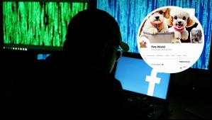 Se llenó de fotos de perros y gatos: Hackean cuenta de Facebook de la municipalidad de Arauco