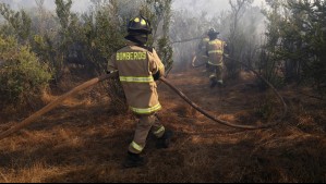 'Amenaza de incendios forestales': Declaran Alerta Temprana Preventiva en la Región Metropolitana