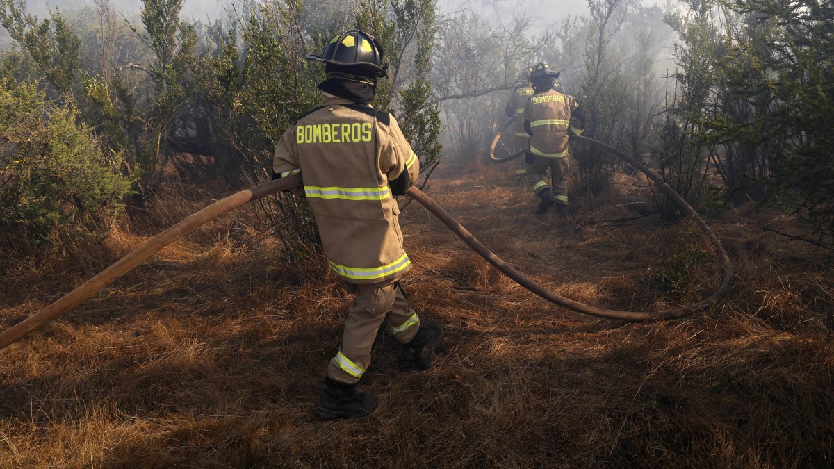 Jornada de incendios forestales este miércoles: Declaran Alerta Roja en Ovalle, Chillán Viejo y Tomé