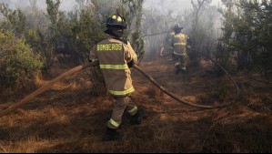 Declaran Alerta Roja por incendio forestal en Marchigüe: Amenaza viviendas cercanas
