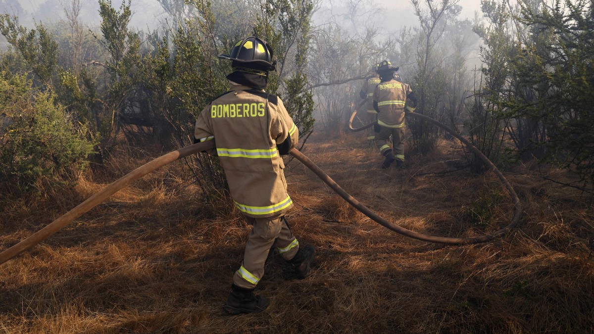 Declaran Alerta Roja por incendio forestal en Litueche: Sectores fueron evacuado por avance del fuego