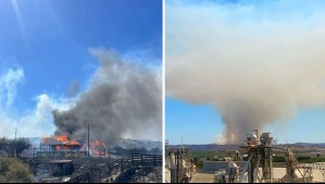 Incendio forestal en O'Higgins: Siete viviendas resultan destruidas y continúan las evacuaciones