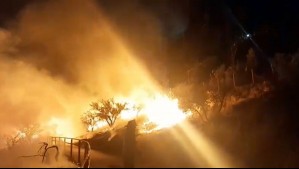 Alcaldesa de Las Condes denuncia presunta intencionalidad en incendio que afectó al Cerro Calán: Municipalidad presentó querella