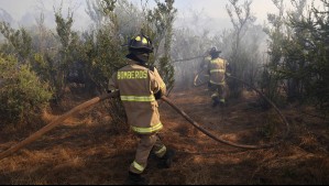 Evacuan sector de San Antonio por incendio forestal: Se declaró Alerta Roja en la comuna