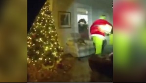 Video muestra a ladrón robando con disfraz del Grinch en Estados Unidos