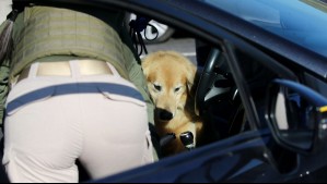 Conductor argentino fue sorprendido entrando a Chile con un arma de fuego por paso fronterizo en La Araucanía