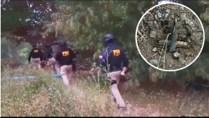 Cuatro detectives resultaron heridos por trampas semi enterradas en plantación de marihuana en Ercilla