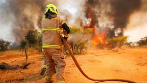 Senapred declara Alerta Amarilla por incendio forestal en comunas de San Antonio, Cartagena y La Ligua